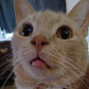 Meet your Posher, Savanna